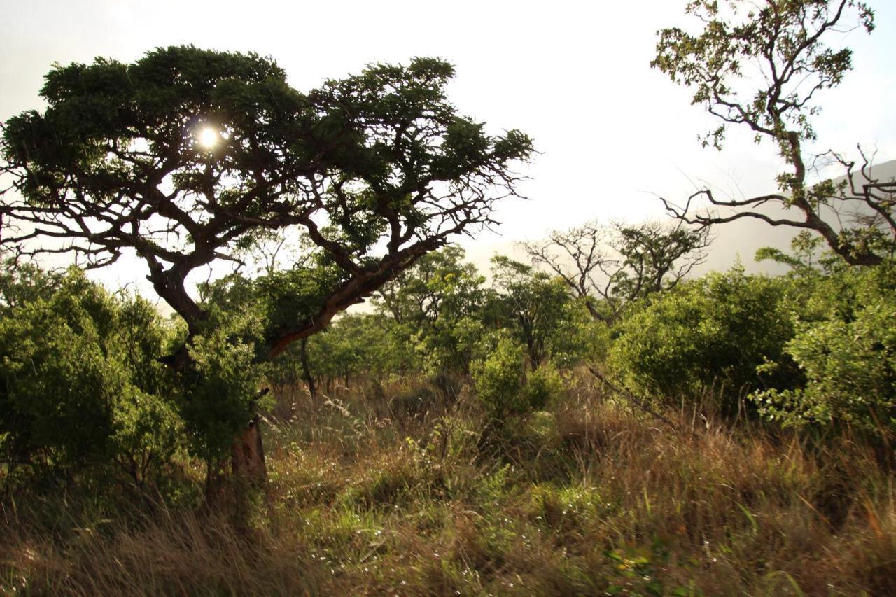 Sofala Lodge Mokopane Zewnętrze zdjęcie